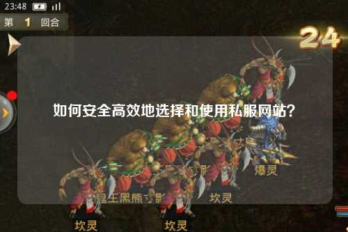 如何安全高效地選擇和使用私服網(wǎng)站？