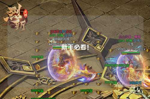 新手必看！