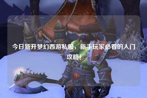 今日新開夢(mèng)幻西游私服，新手玩家必看的入門攻略！